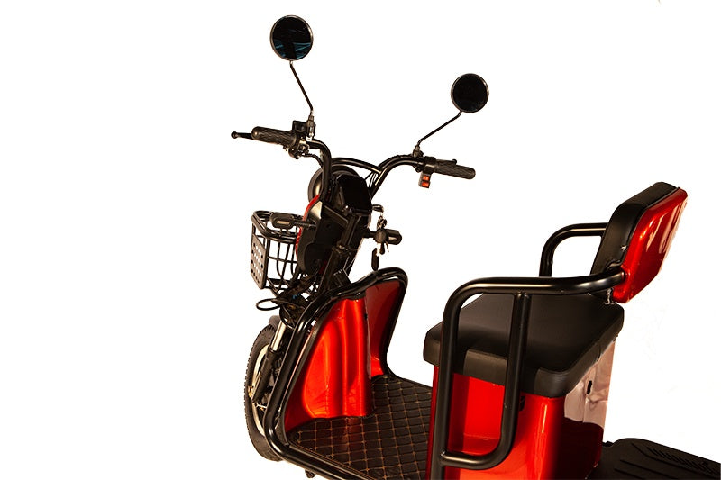 Pushpak 4000-Vitality Mobility