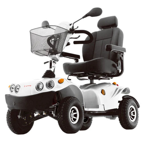 FR GDX All-Terrain Mobility Scooter