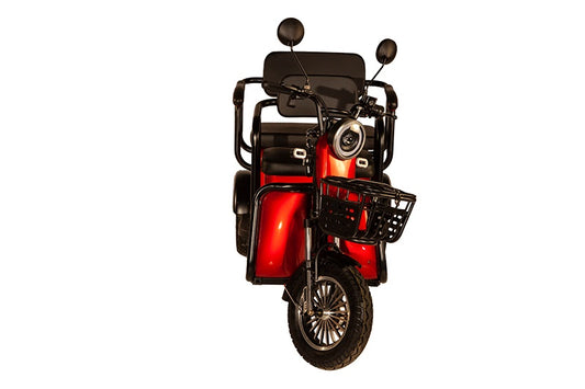 Pushpak 4000-Vitality Mobility